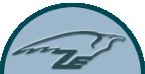 Zest Logo